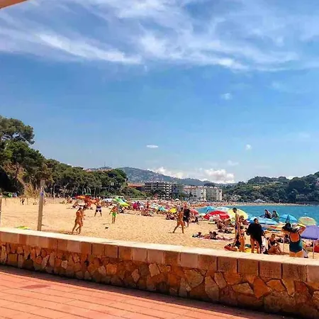 Apartment Con Piscina Y Parking En